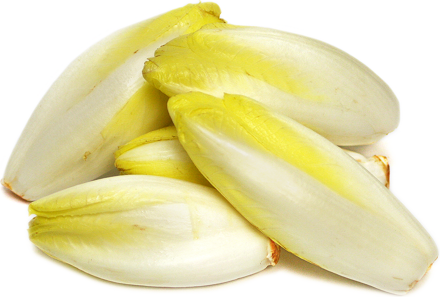 endives-nancybuzz.png