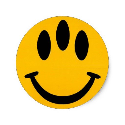 evolution_smiley_classic_round_sticker-ra06582bd566a4491b6335defe9b3cbf3_v9waf_8byvr_512.jpg