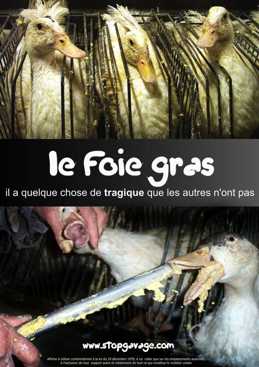 foie_gras_pmaf2.jpg