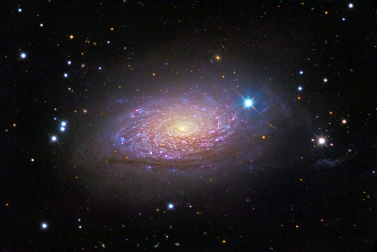 galaxie-du-tournesol-ngc-5055.jpg