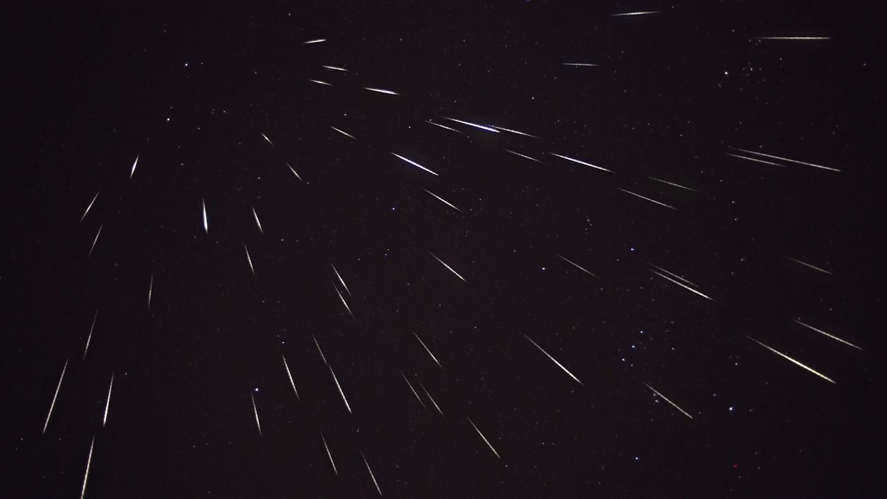 geminids2015_orion.jpg