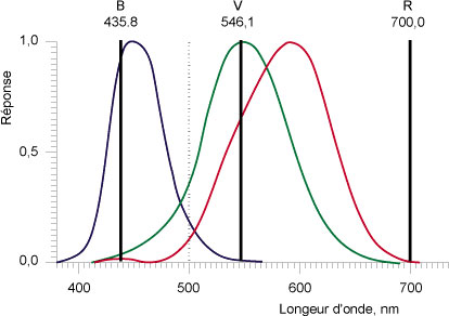 graph---fig8.jpg