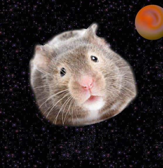 hamsteroide.jpg