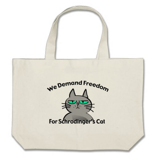 humour_drole_de_geek_du_chat_de_schrodinger_sac-r94a75e3f6a4449ef9cc4729818fba5c4_v9w72_8byvr_512.jpg