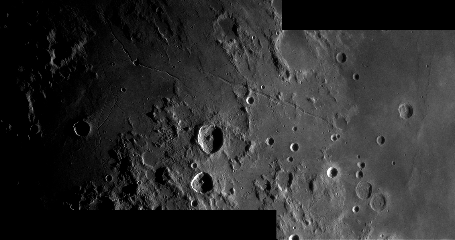 hyginus100411-100-.jpg