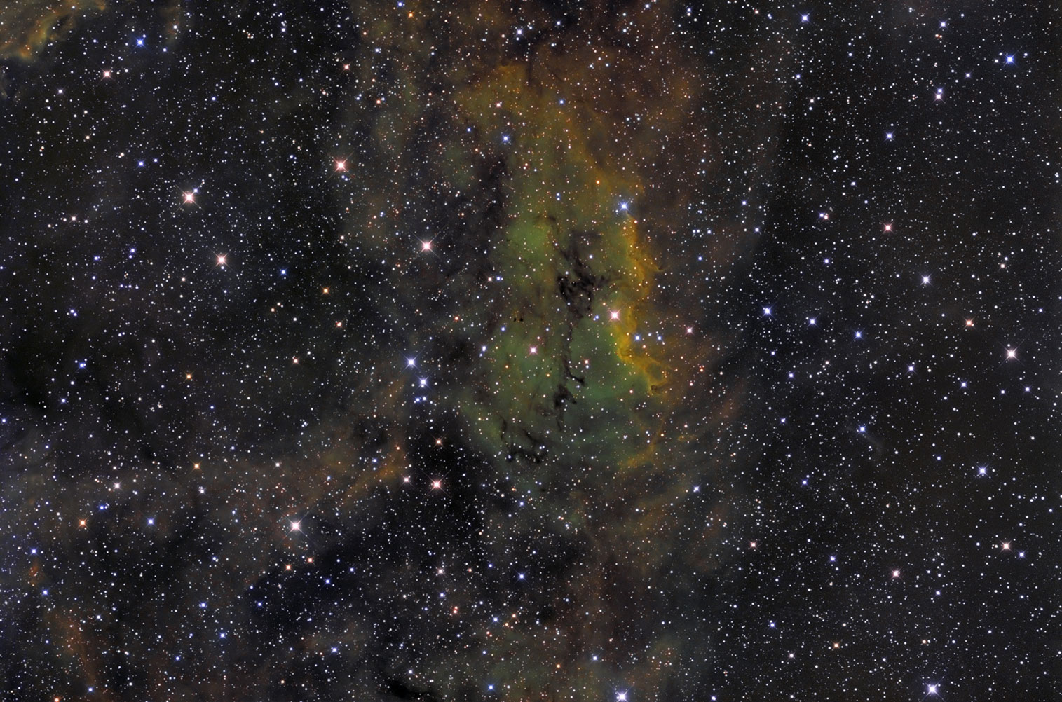 ic1310-s2Hao3-3-50.jpg