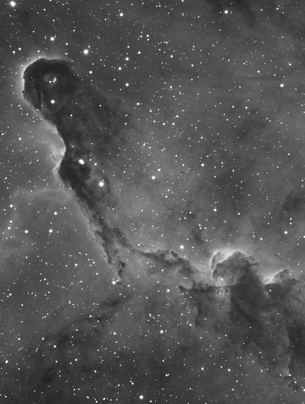 ic1396_h_15juillet2016.jpg