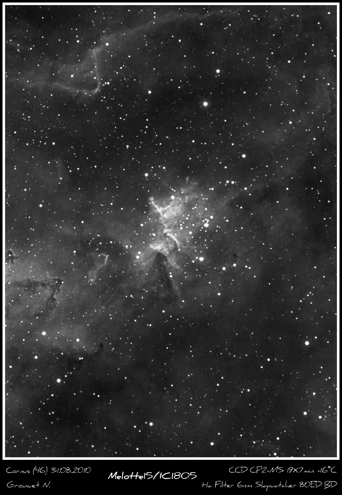 ic180531082010minicornuspn.jpg