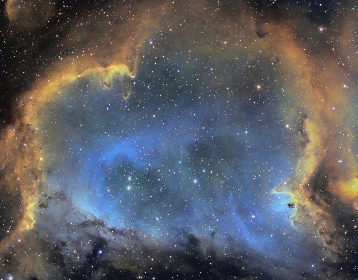 ic1848-X2.jpg