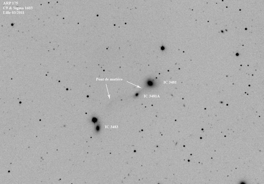 ic3481neg.jpg