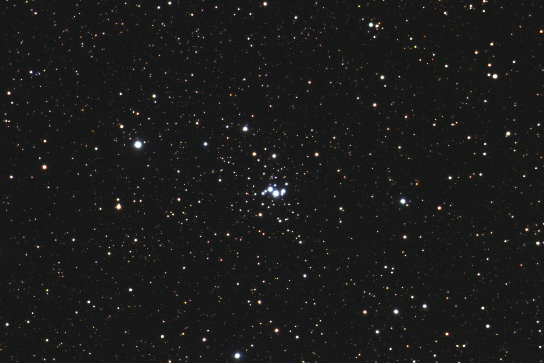 ic4996.jpg