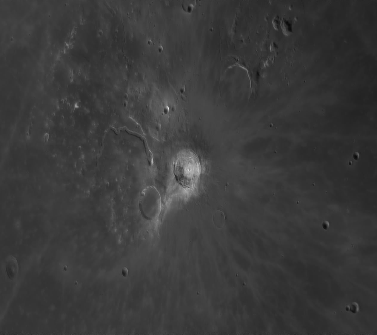 luna_20120909_schroteri.jpg