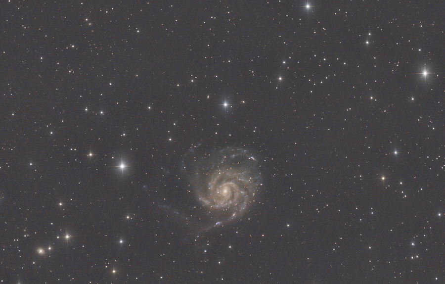 m101003.jpg