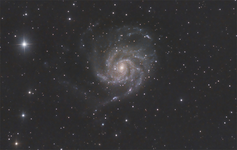 m101007.jpg