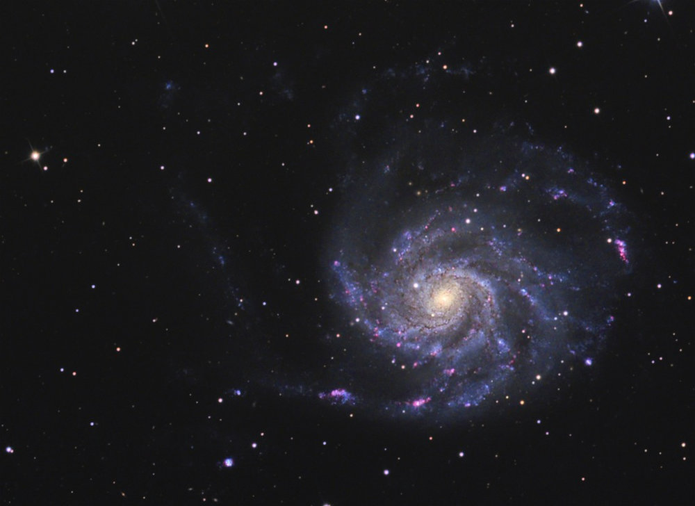 m101webcrop1550copie.jpg