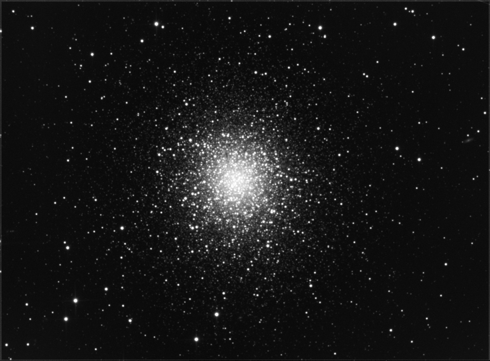 m13_22_5_2010_iris.jpg