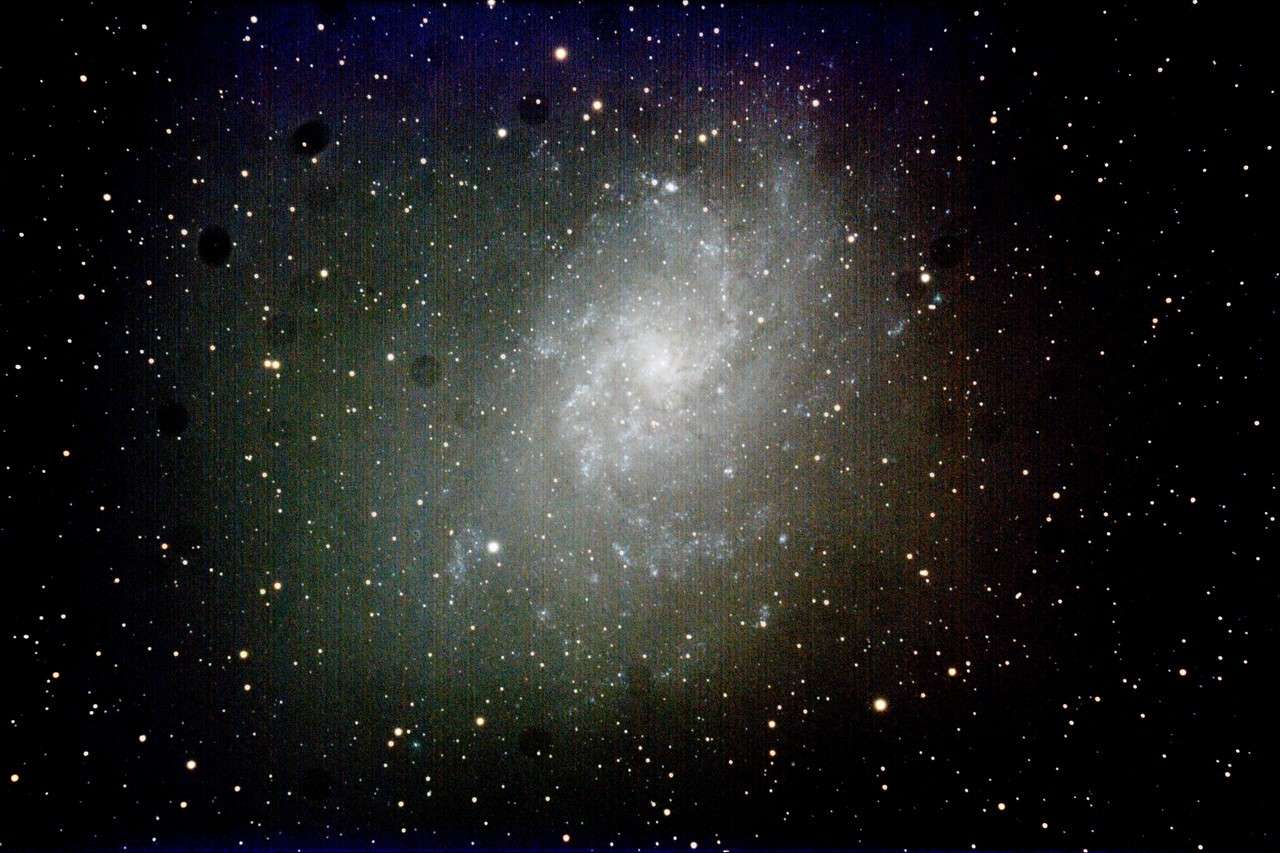 m3310.jpg