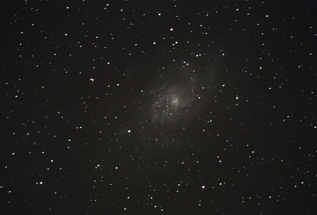 m3310.jpg