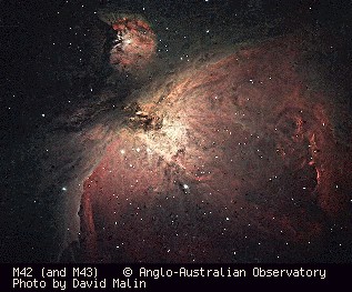 m42.jpg