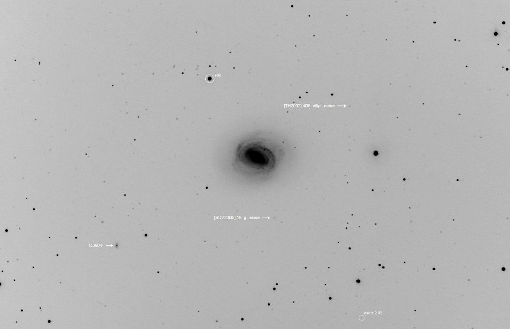 m58neg.jpg