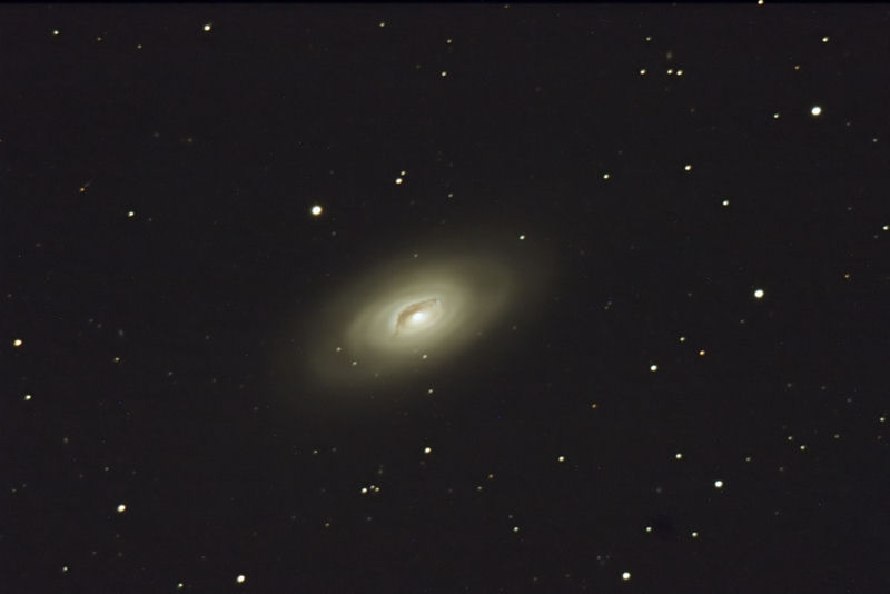 m64.jpg