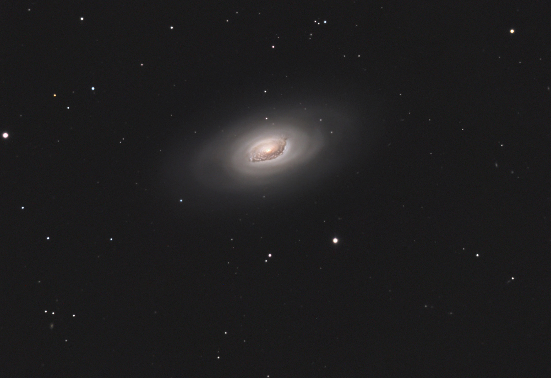 m64_c9.jpg