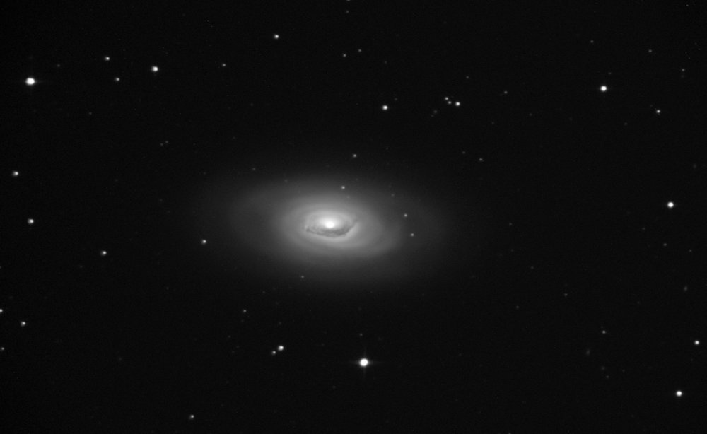 m64_crop.jpg