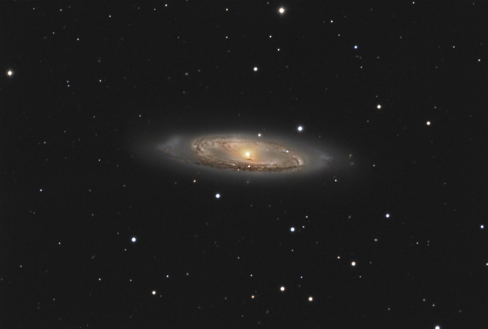 m65c11.jpg