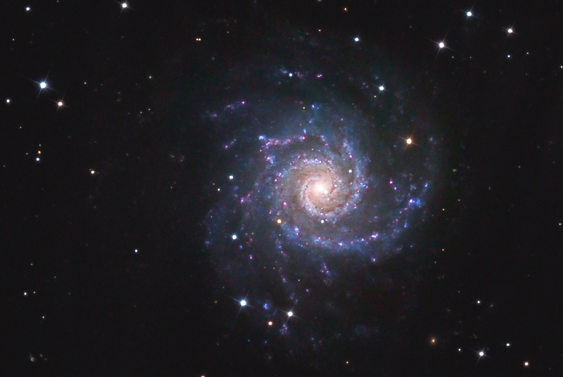 m74_111001.jpg