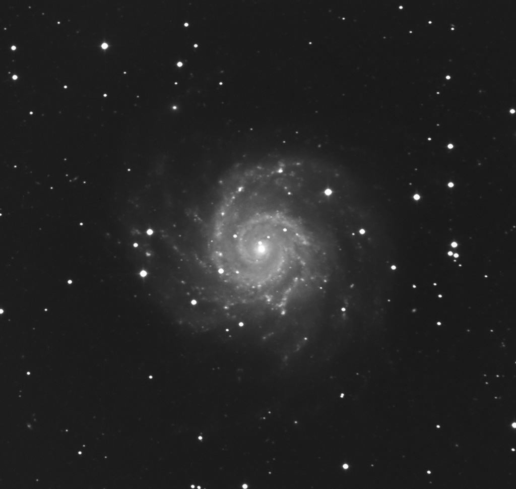 m74_l_26x2min-crop.jpg