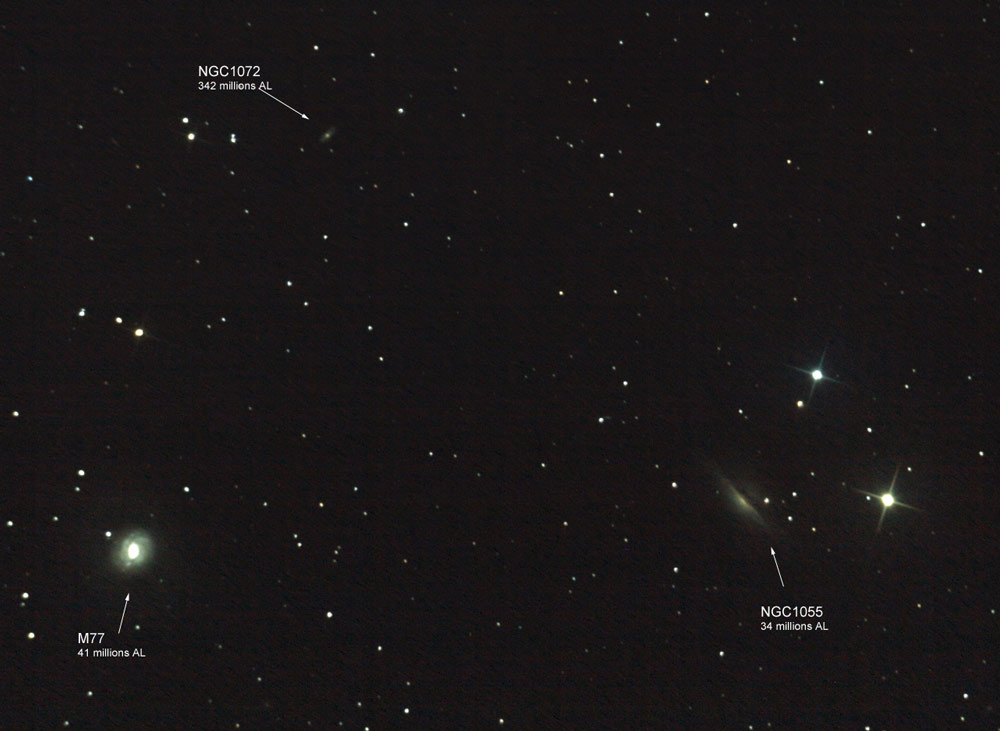 m77_1000.jpg