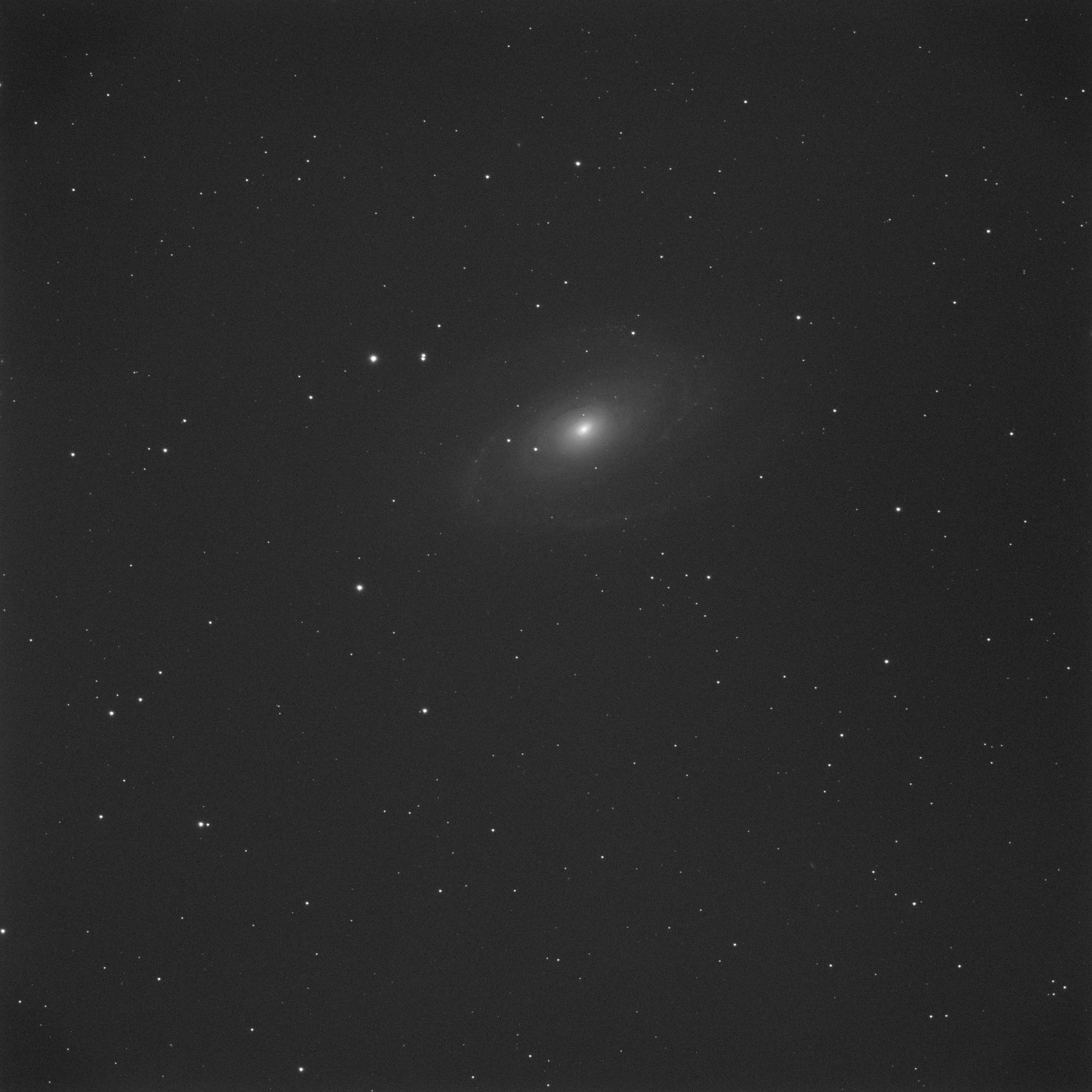 m81.jpg