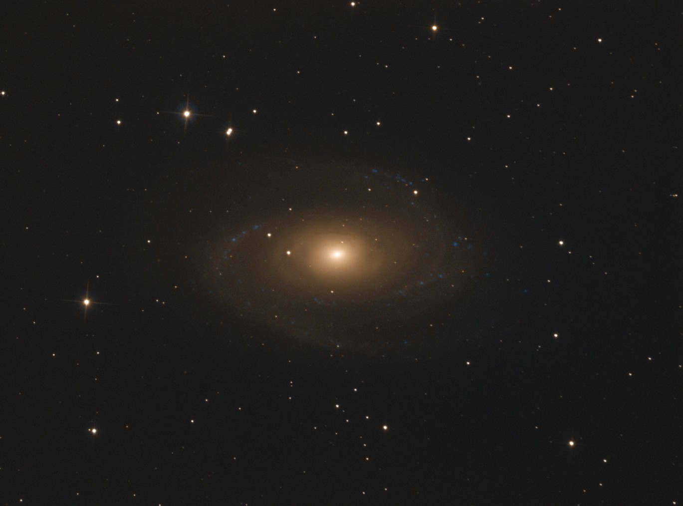 m81_bi10.jpg