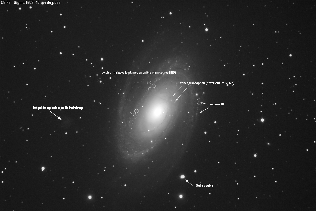 m81neg.jpg