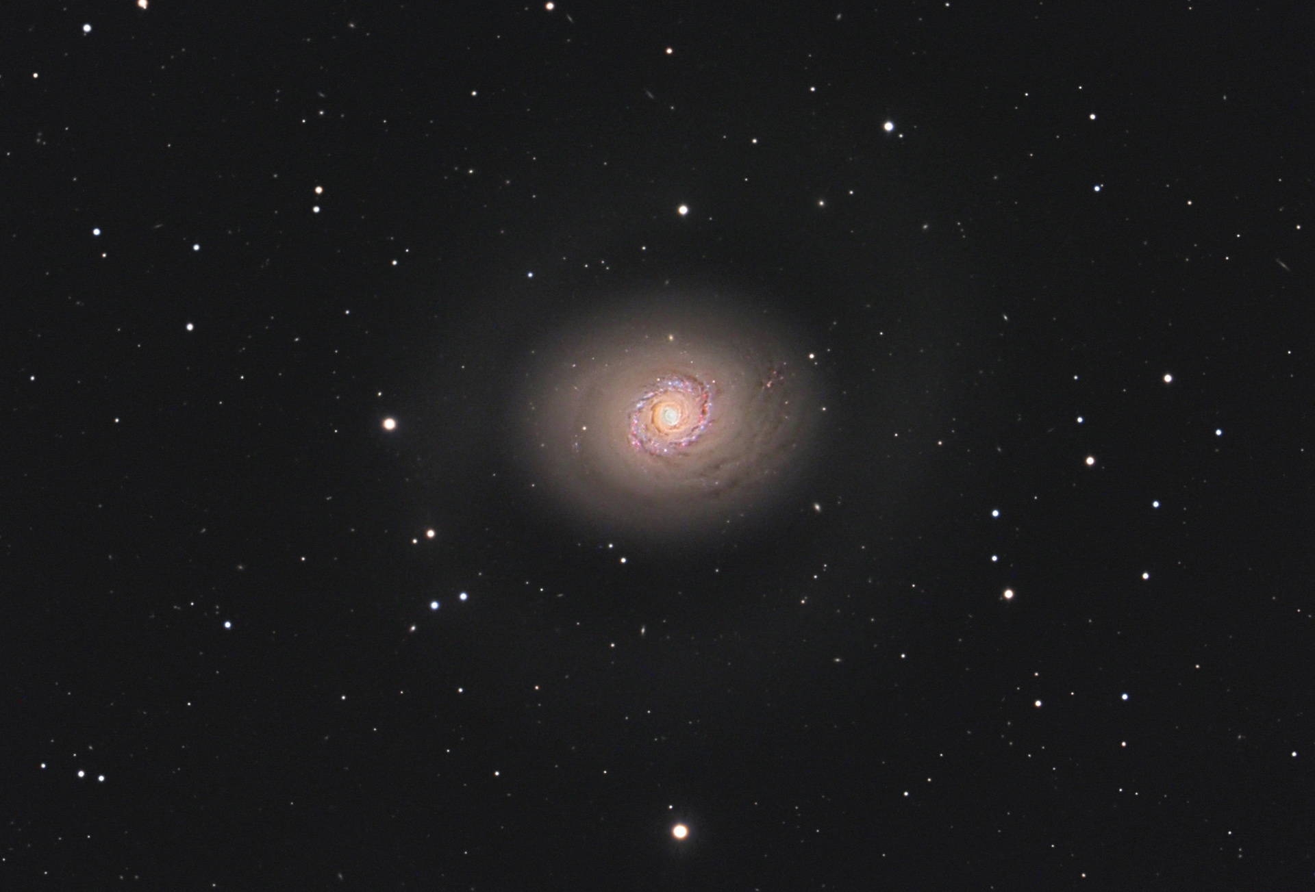 m94_c11.jpg