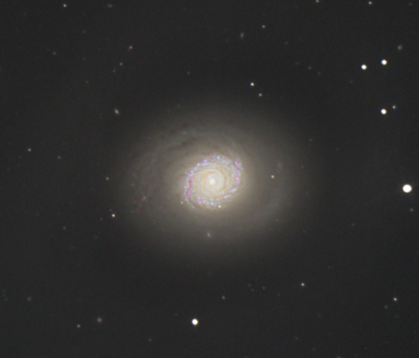 m94z.jpg