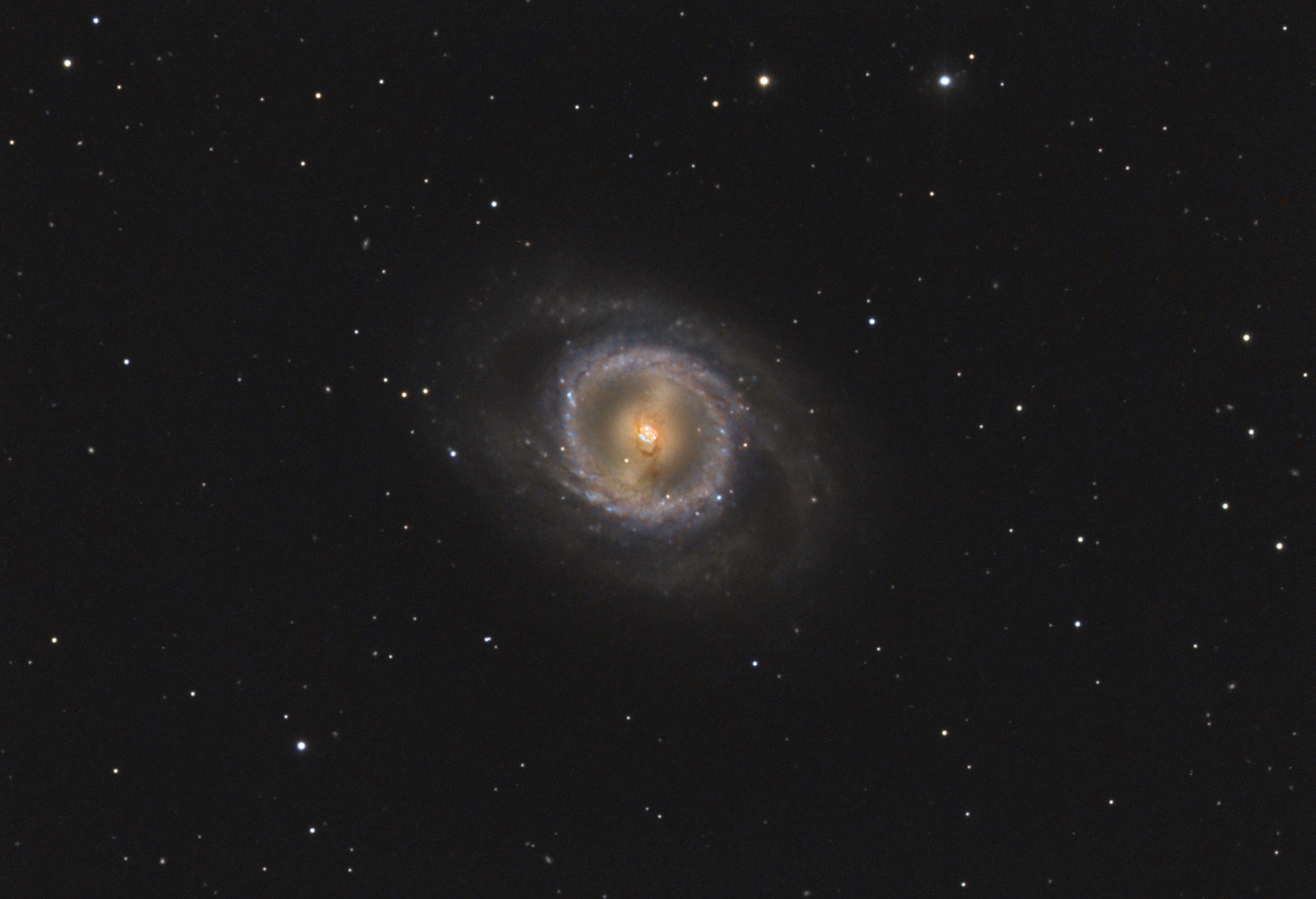 m95_c11.jpg