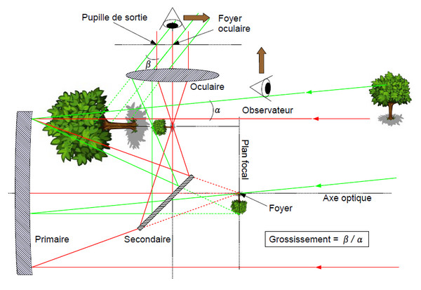 newton_rayons.jpg