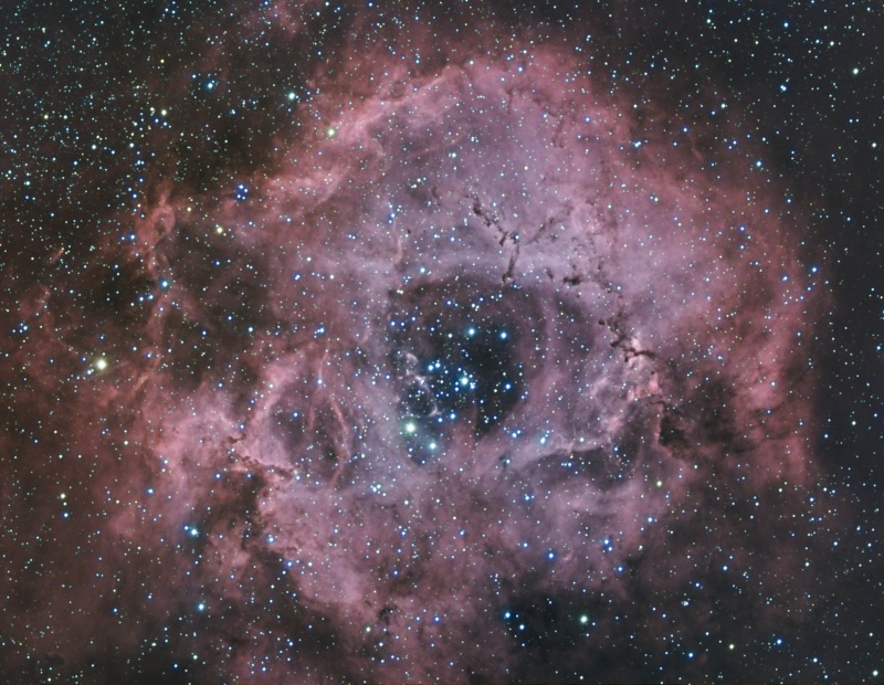 ngc22310.jpg