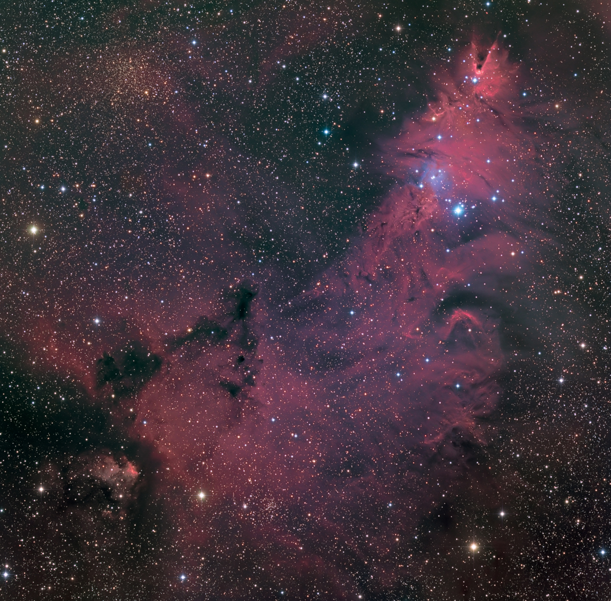 ngc2264-harRGB-9-srgb1-30.jpg