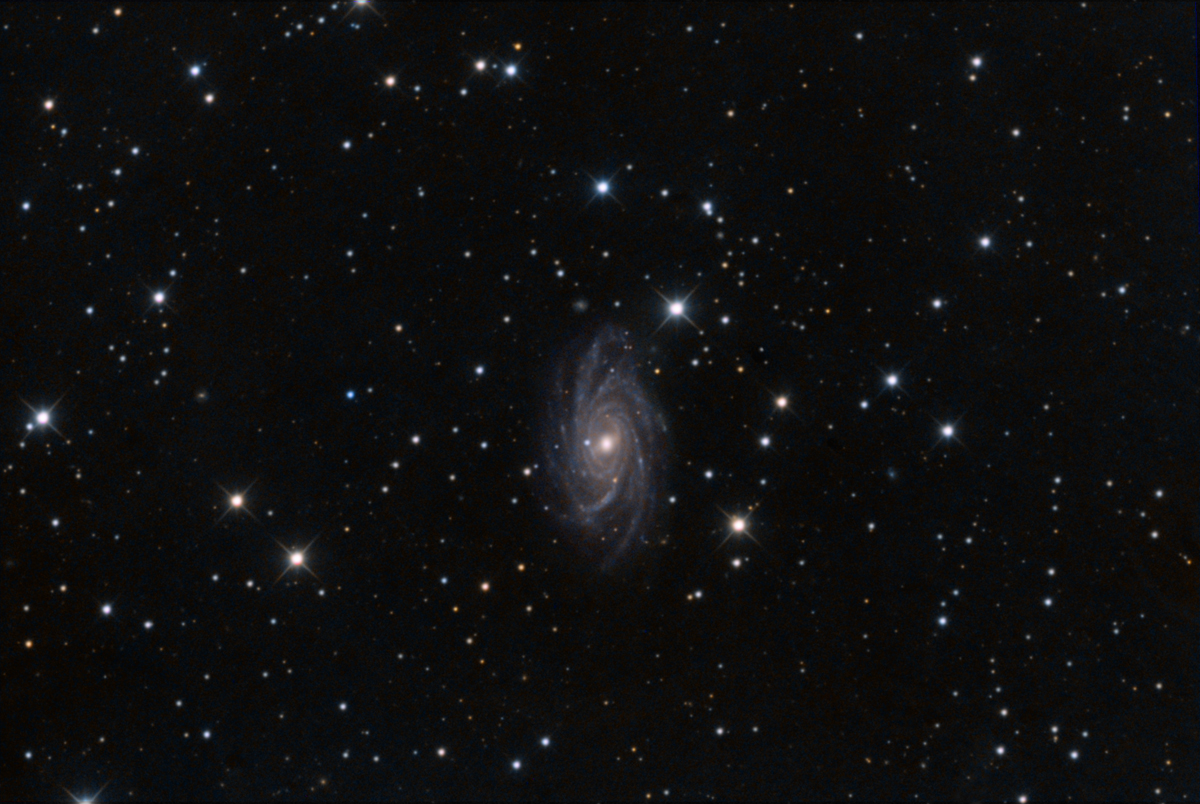 ngc2336-75.jpg