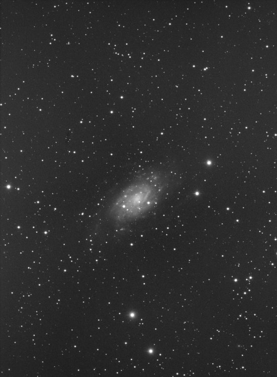 ngc2403-18x5-log-ddp-rec-gimp-rot-red.jpg