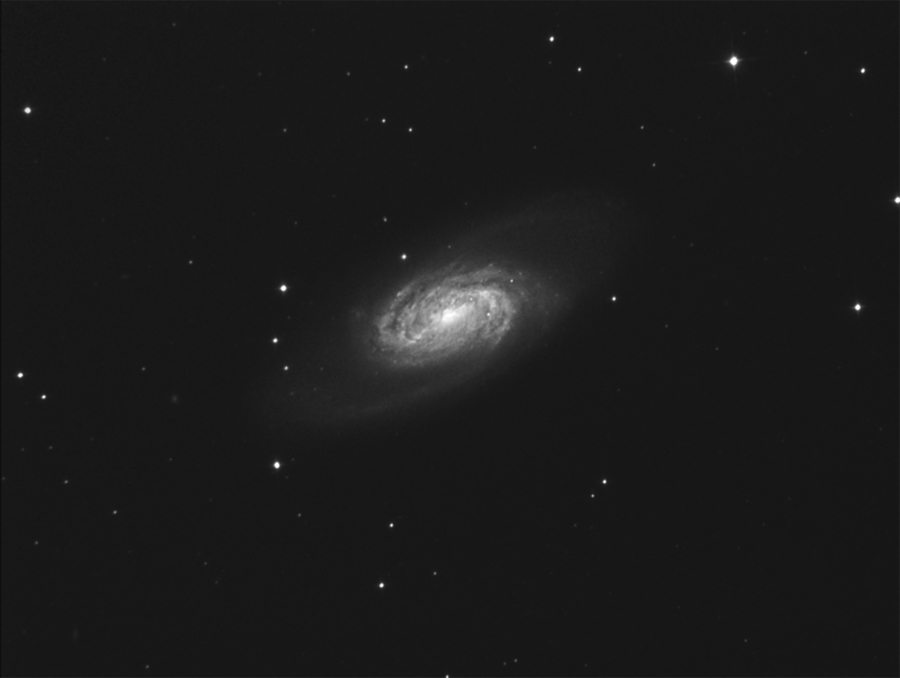 ngc2903.jpg