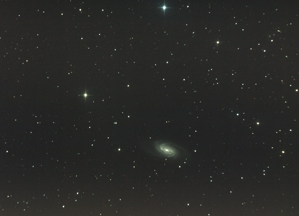 ngc2903_1200.jpg