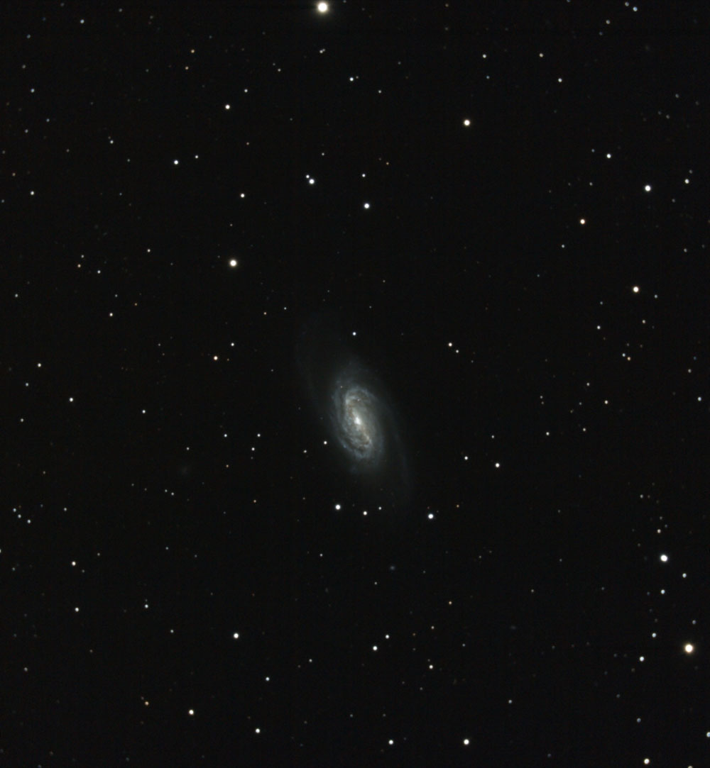 ngc2903_2010_03_13_vignette_forum.jpg