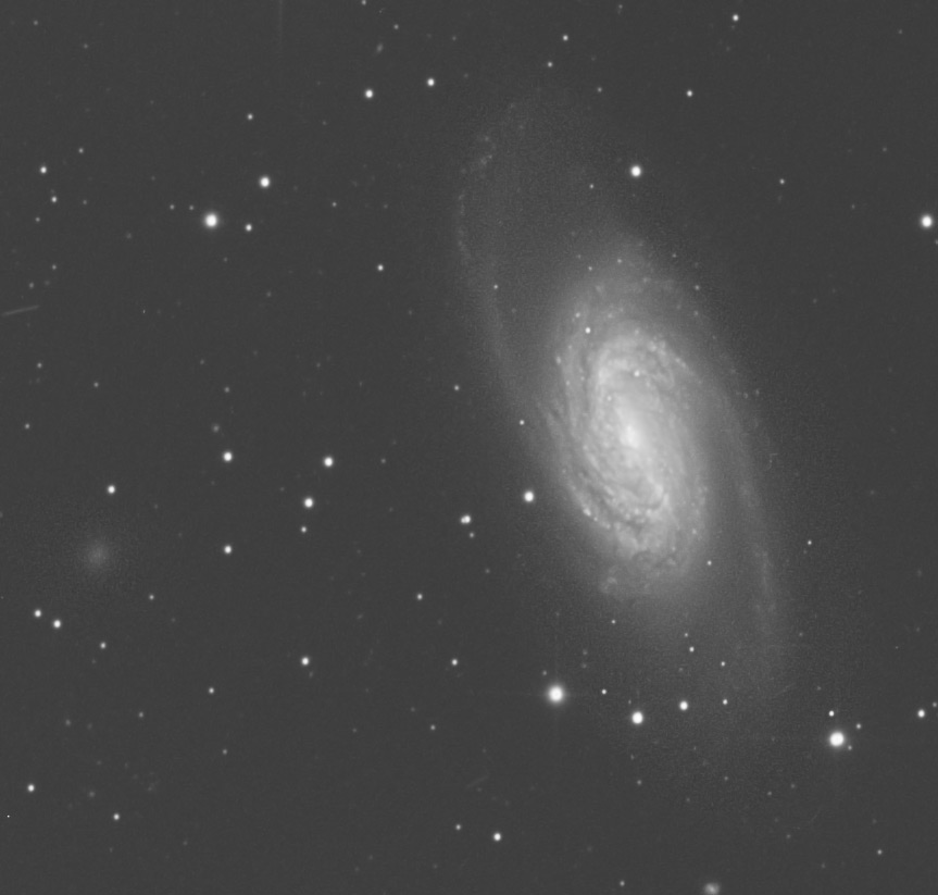 ngc2903crop2017.jpg