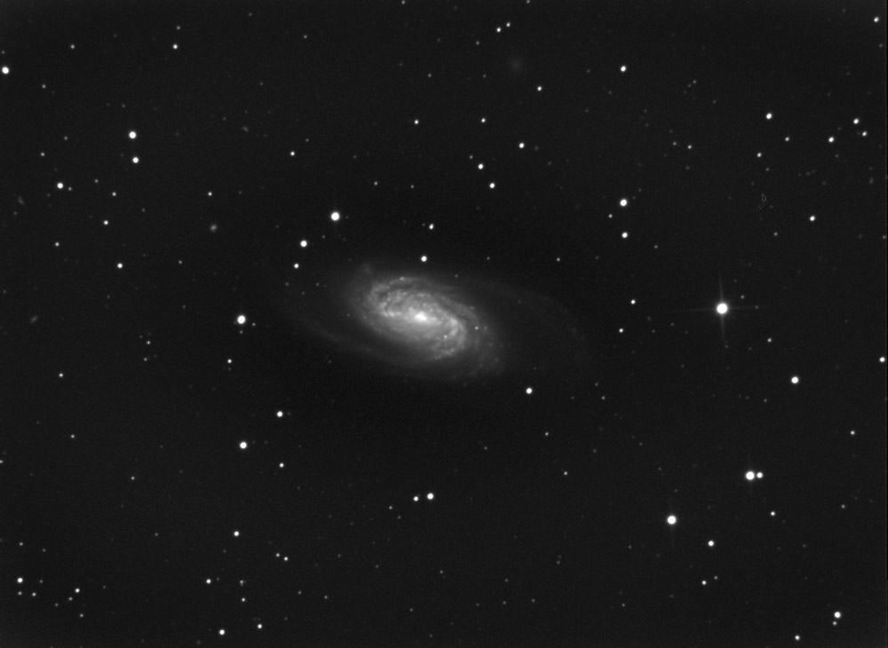 ngc2903reprise.jpg