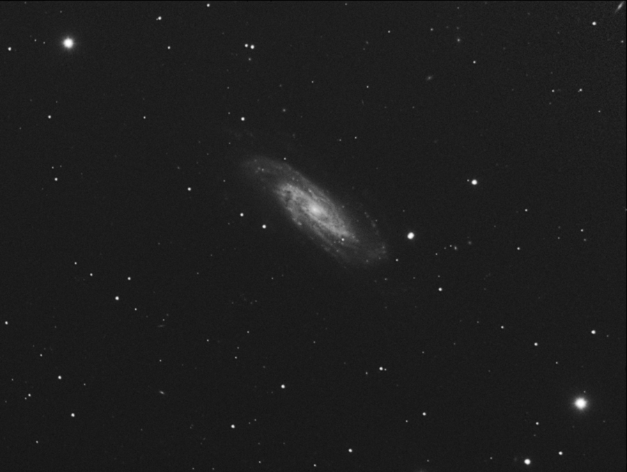 ngc3198bis.jpg