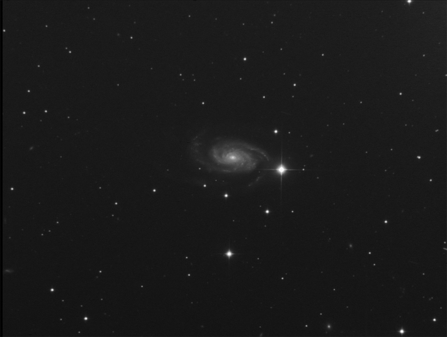 ngc3338m.jpg