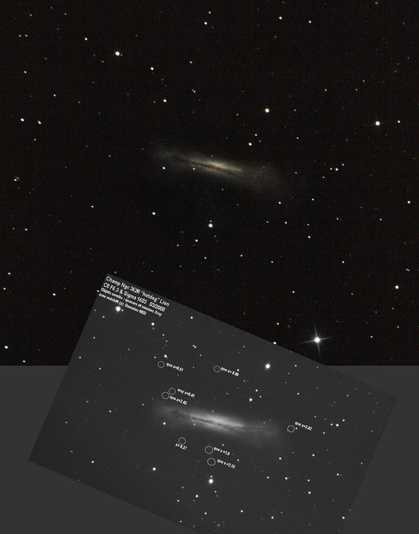 ngc3628.jpg